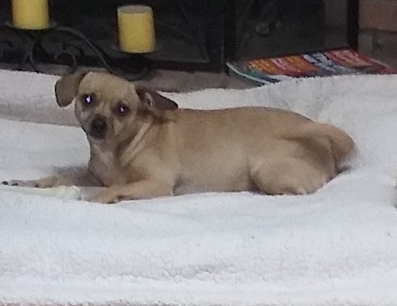 Bella