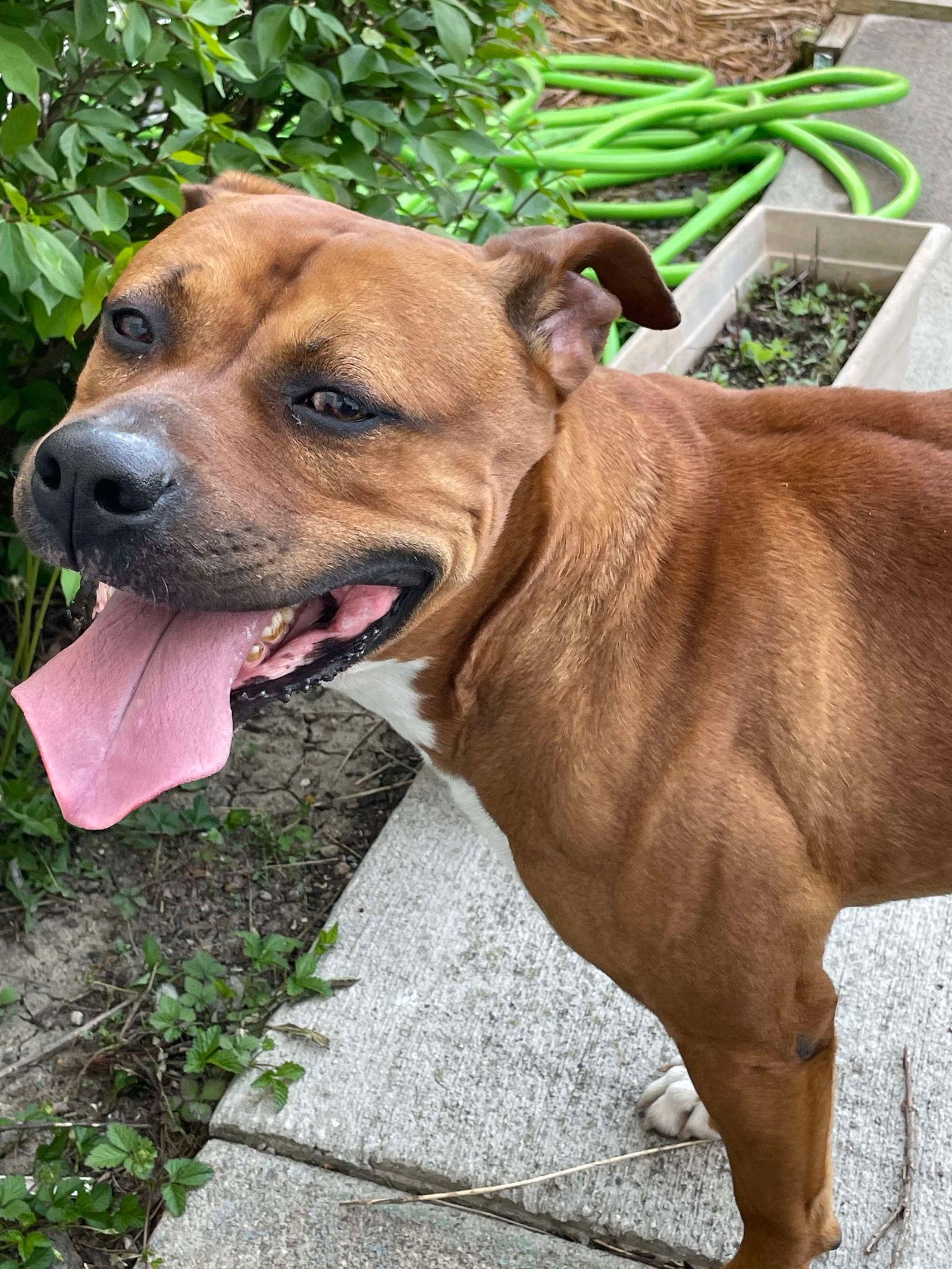 Bartholomew Cubbins thumbnail 2