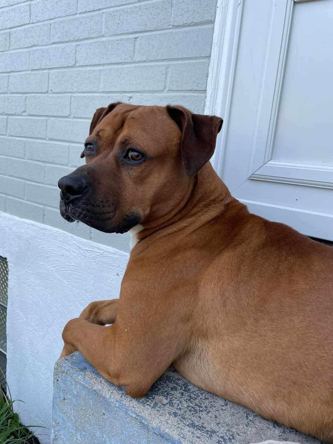 Bartholomew Cubbins thumbnail 4