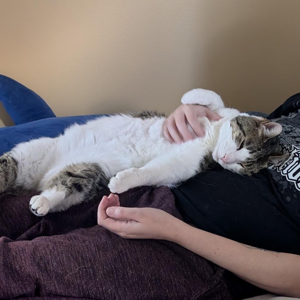 Milo — thumbnail 2