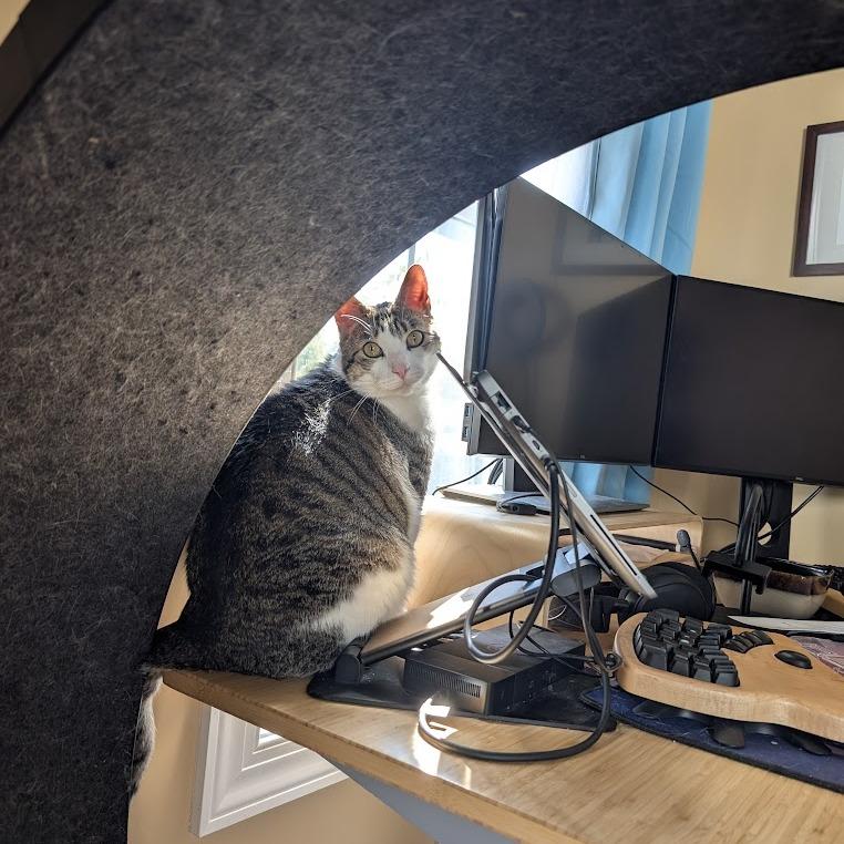 Milo — thumbnail 6