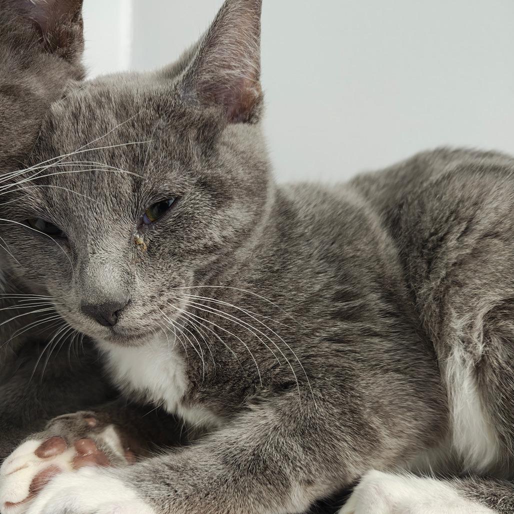 Liam — thumbnail 2