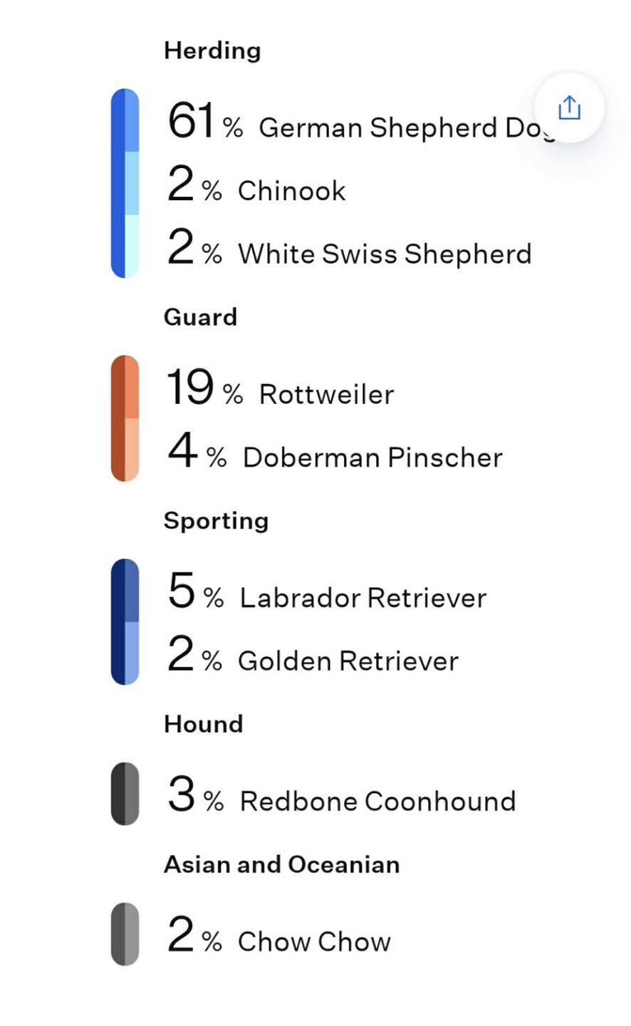 Enlarge Zenna, an adoptable mixed breed in Vermilion, OH image 4/4