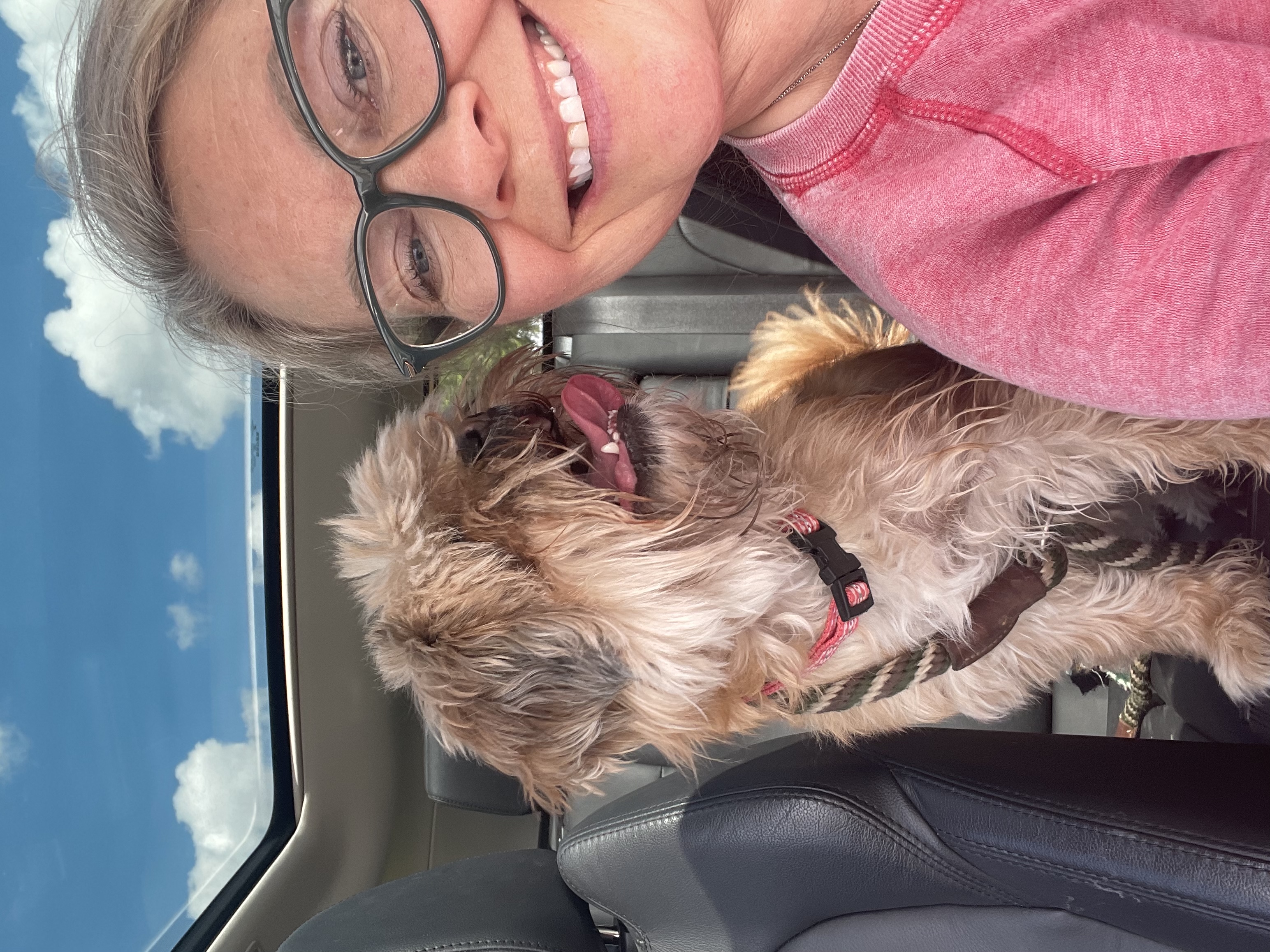 Maggie, a Adopted Lhasa Apso in Madison, MN image 3/5