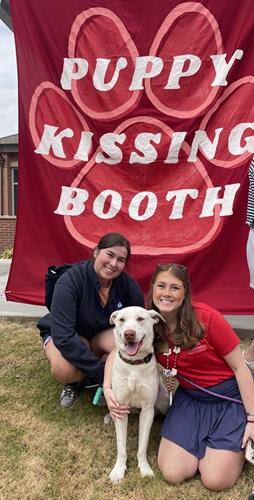 Bank — thumbnail 2