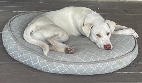 Bank — thumbnail 3