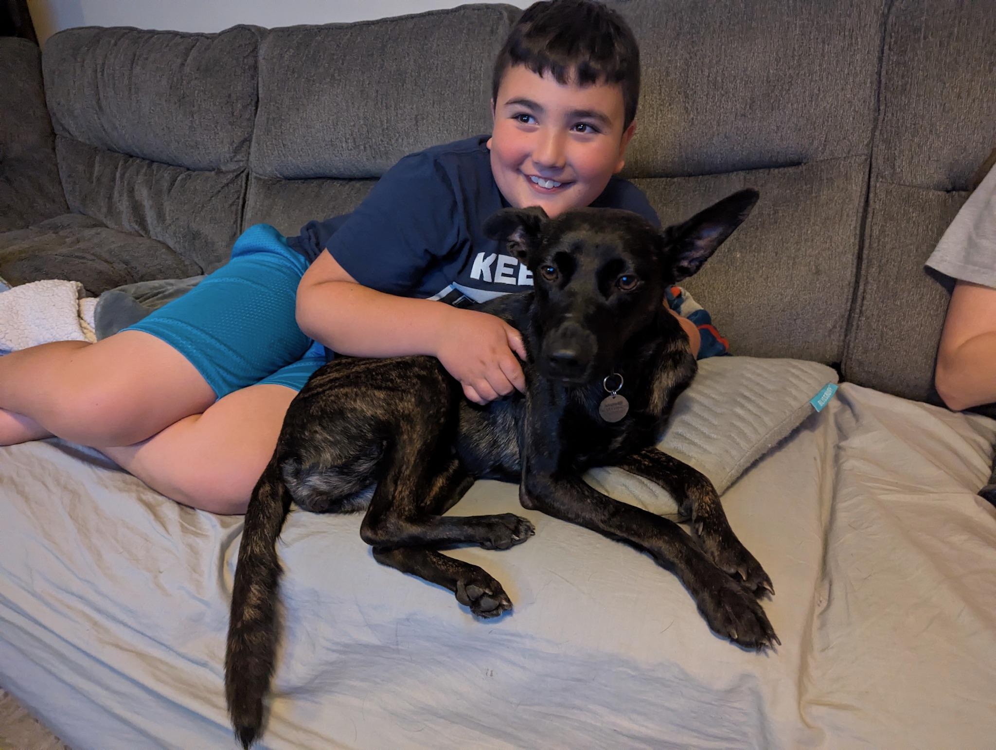 Enlarge Almendra, a Adopted mixed breed in Hilton, NY image 5/6