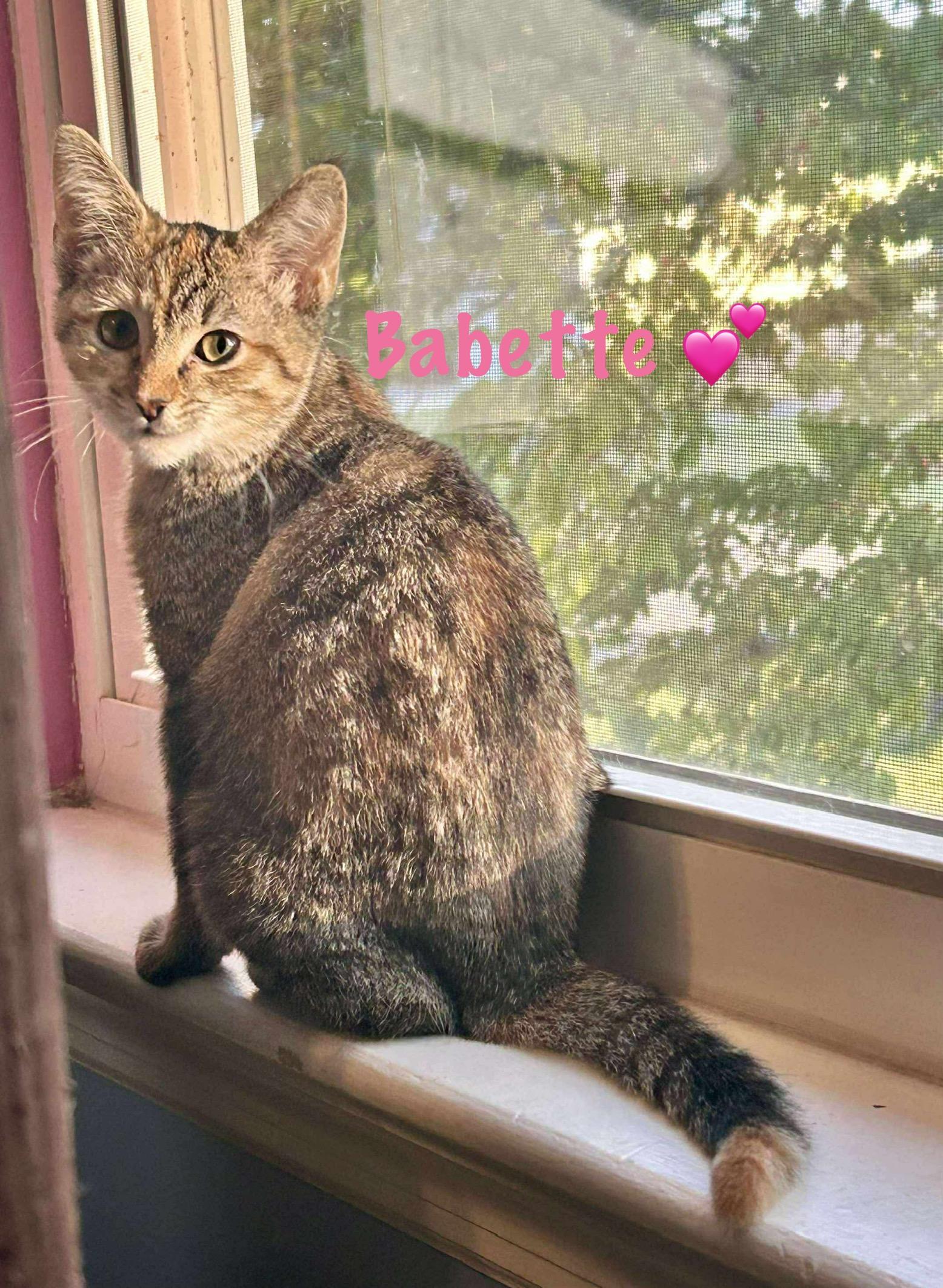 Babette