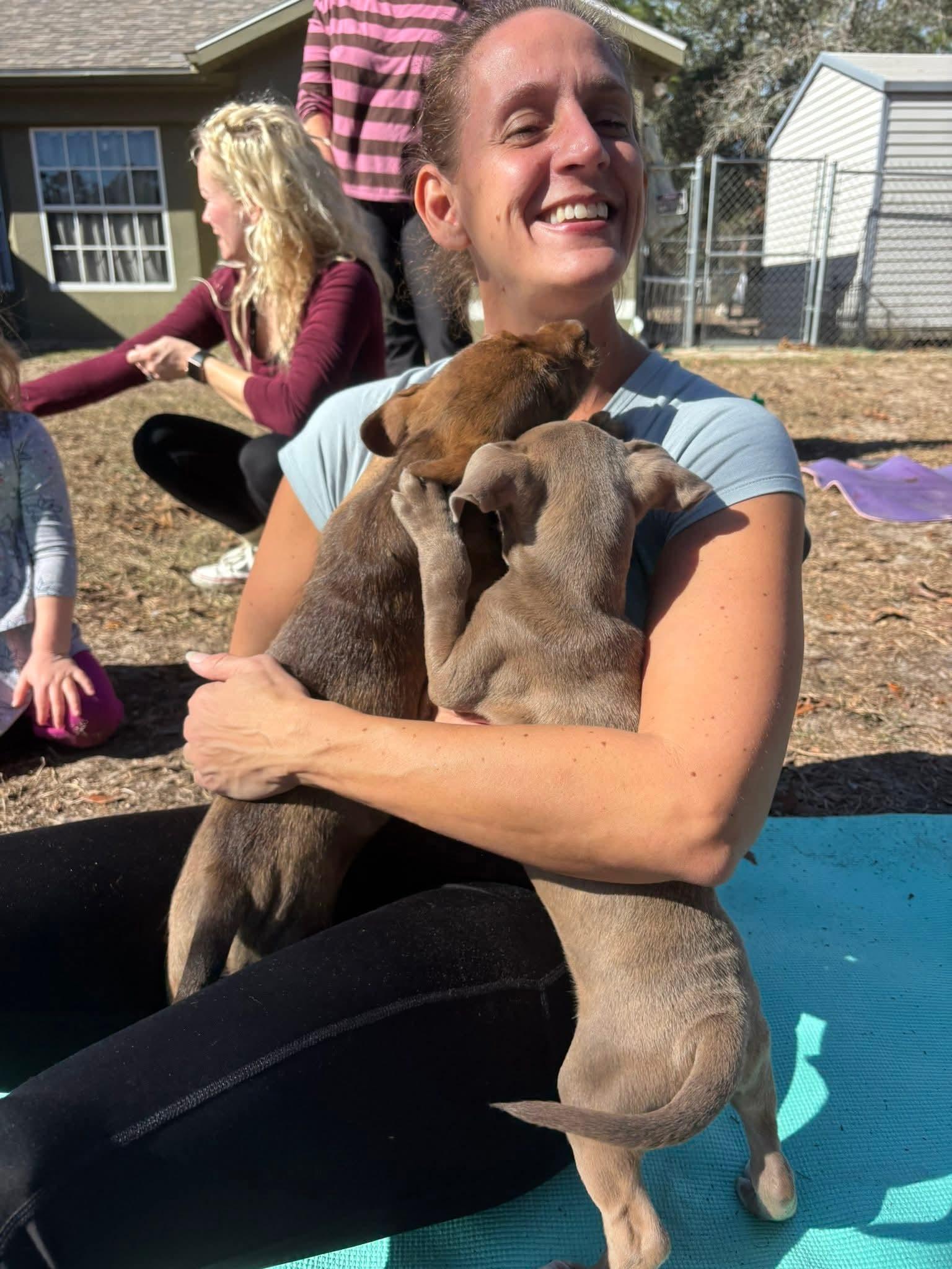 Hershey , ADOPTABLE, Puppy Male Dachshund & Black Mouth Cur.