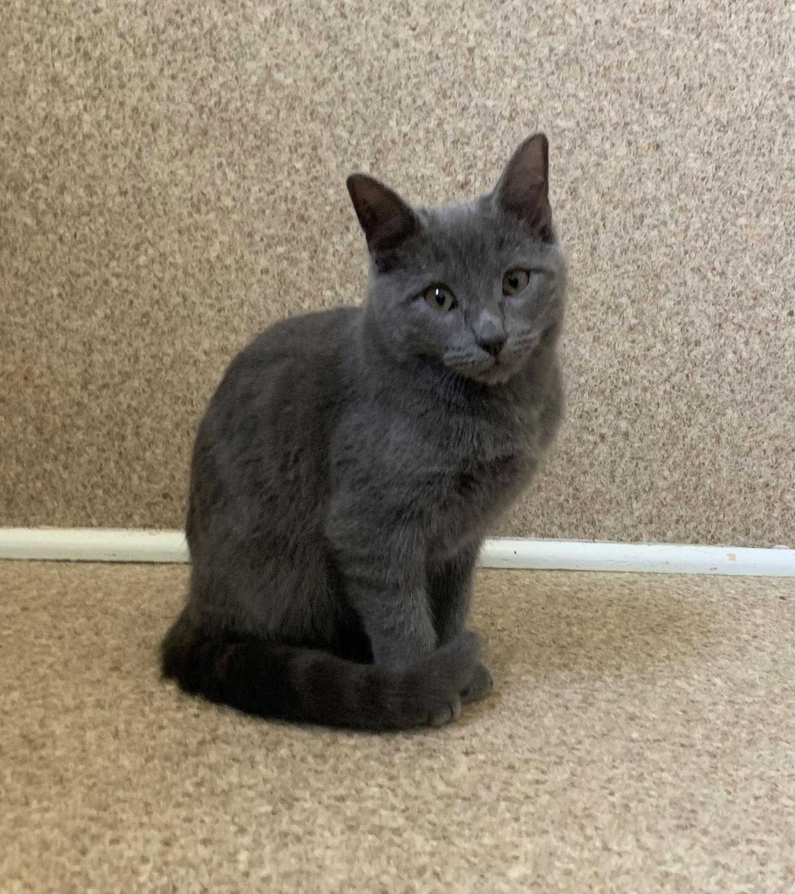 Nina — thumbnail 2