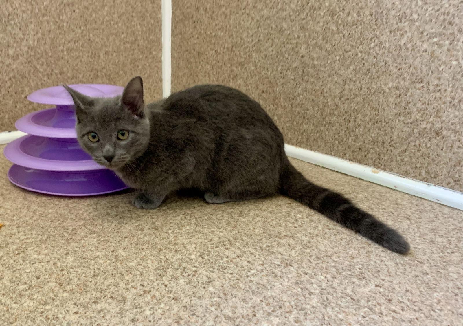 Nina — thumbnail 3