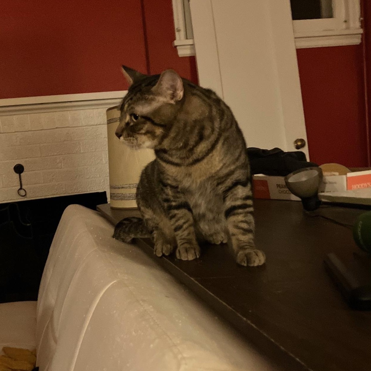 **COURTESY LISTING** Tigger