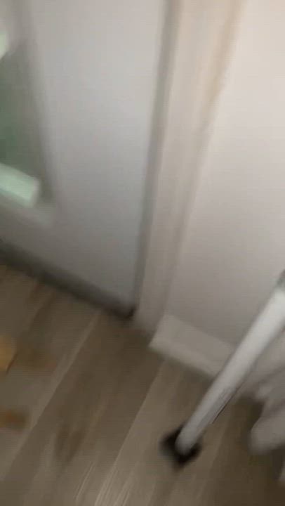 Enlarge Princess, a Adopted mixed breed in Saucier, MS video 4/4