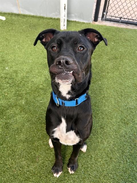 THANOS — thumbnail 2