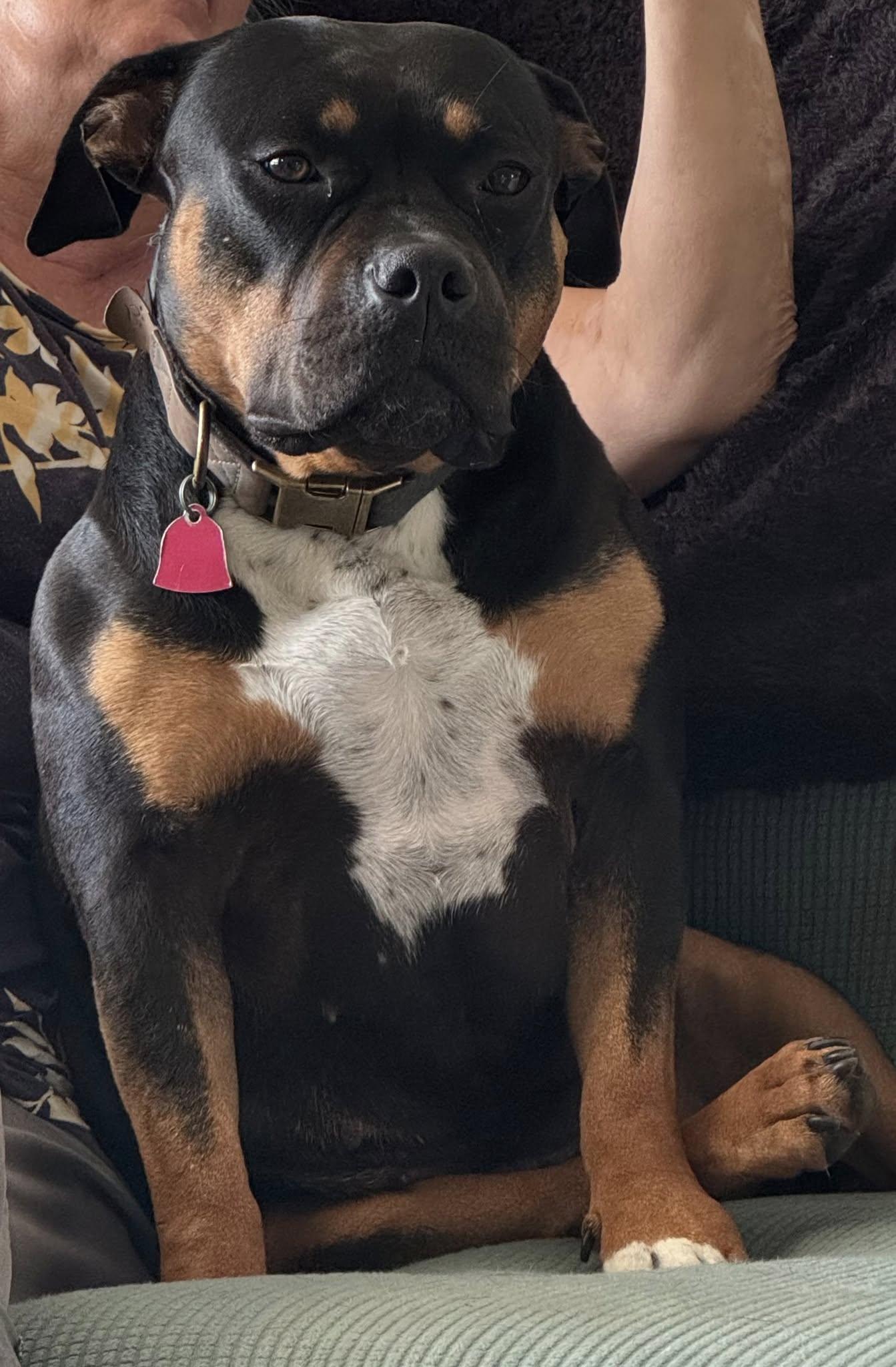 Maggie