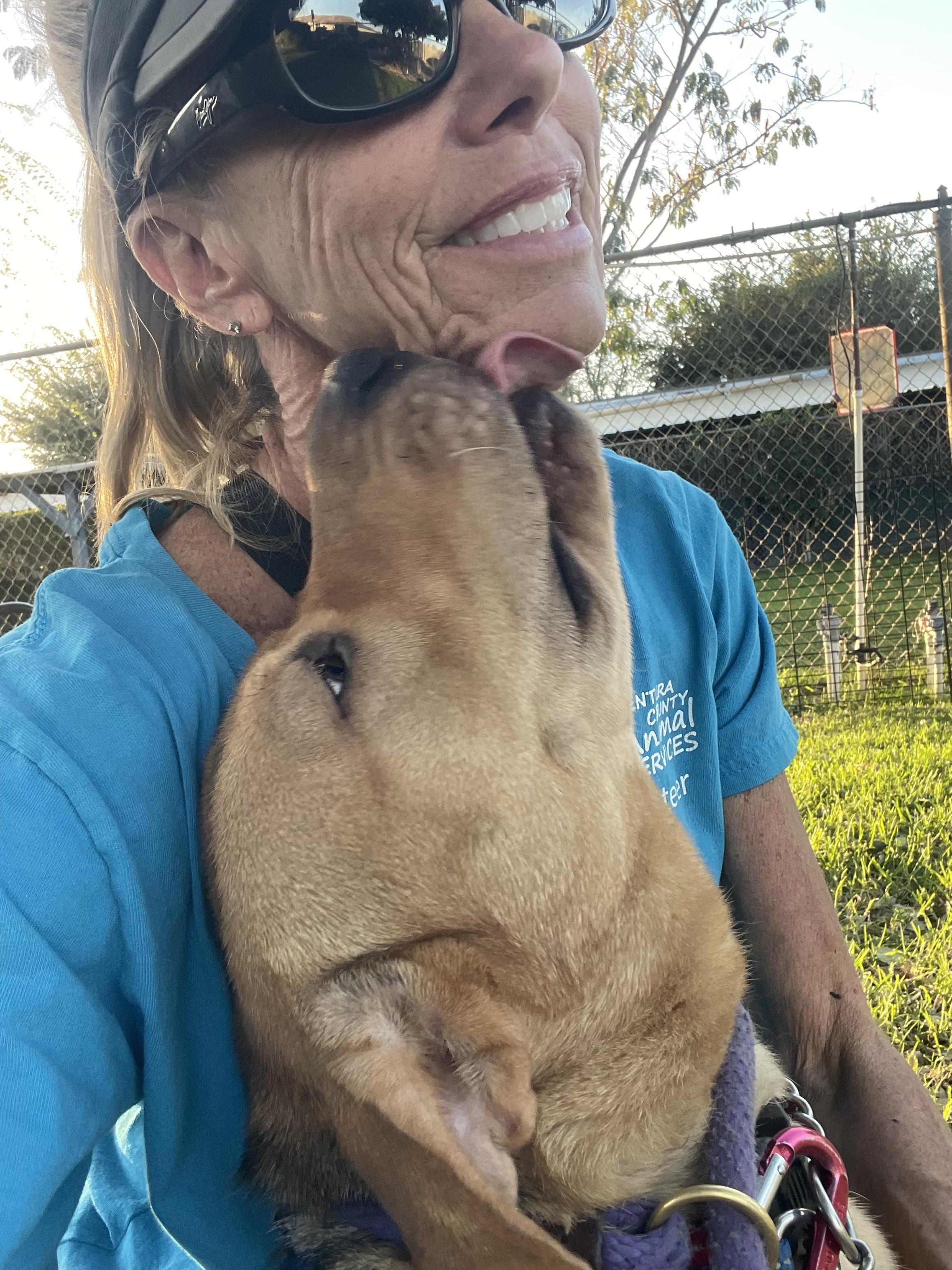 Enlarge PINK, a Adoptable mixed breed in Thousand Oaks, CA image 6/6