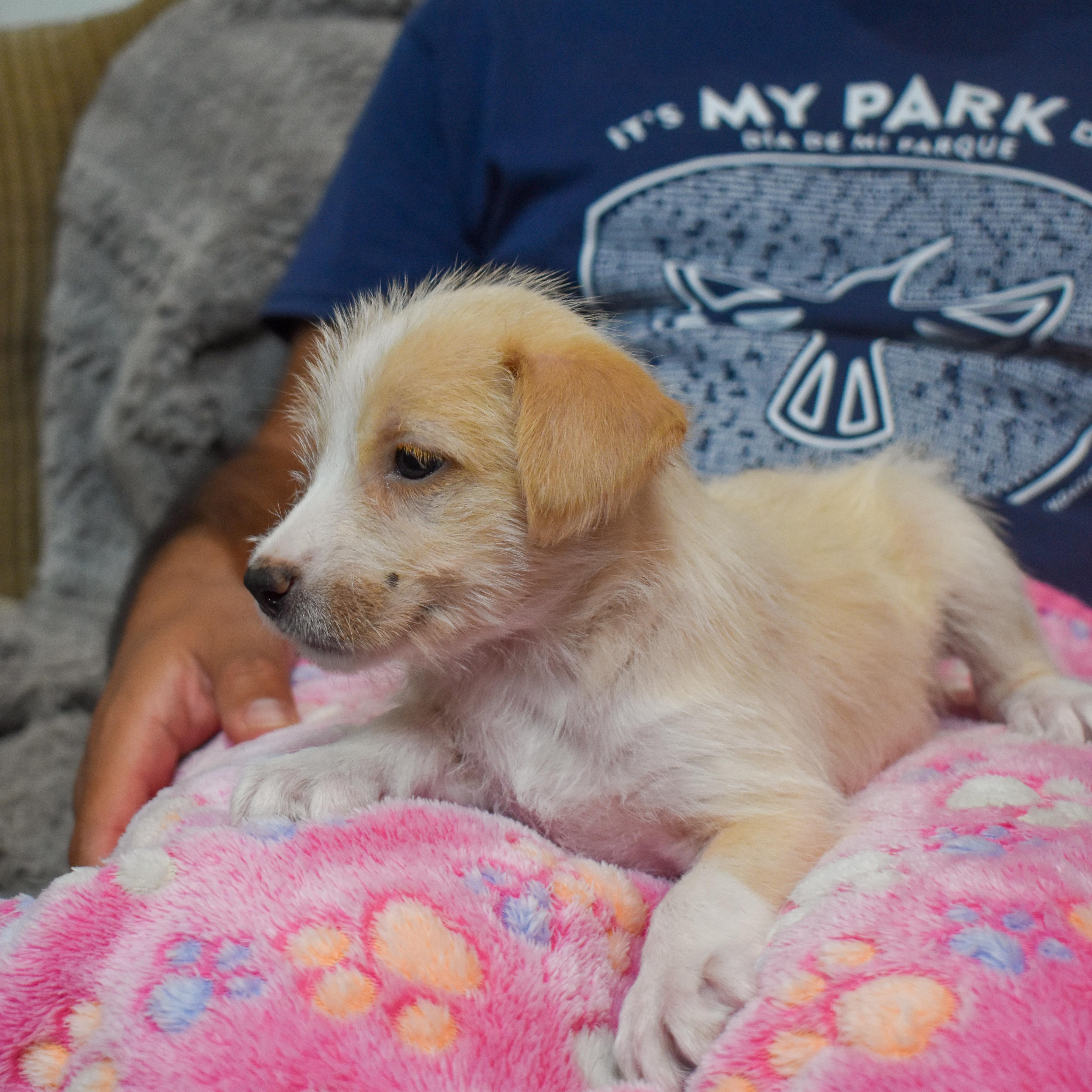 Barbie — thumbnail 3