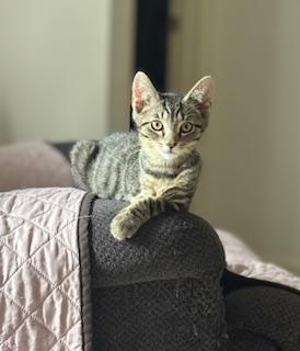 Jane