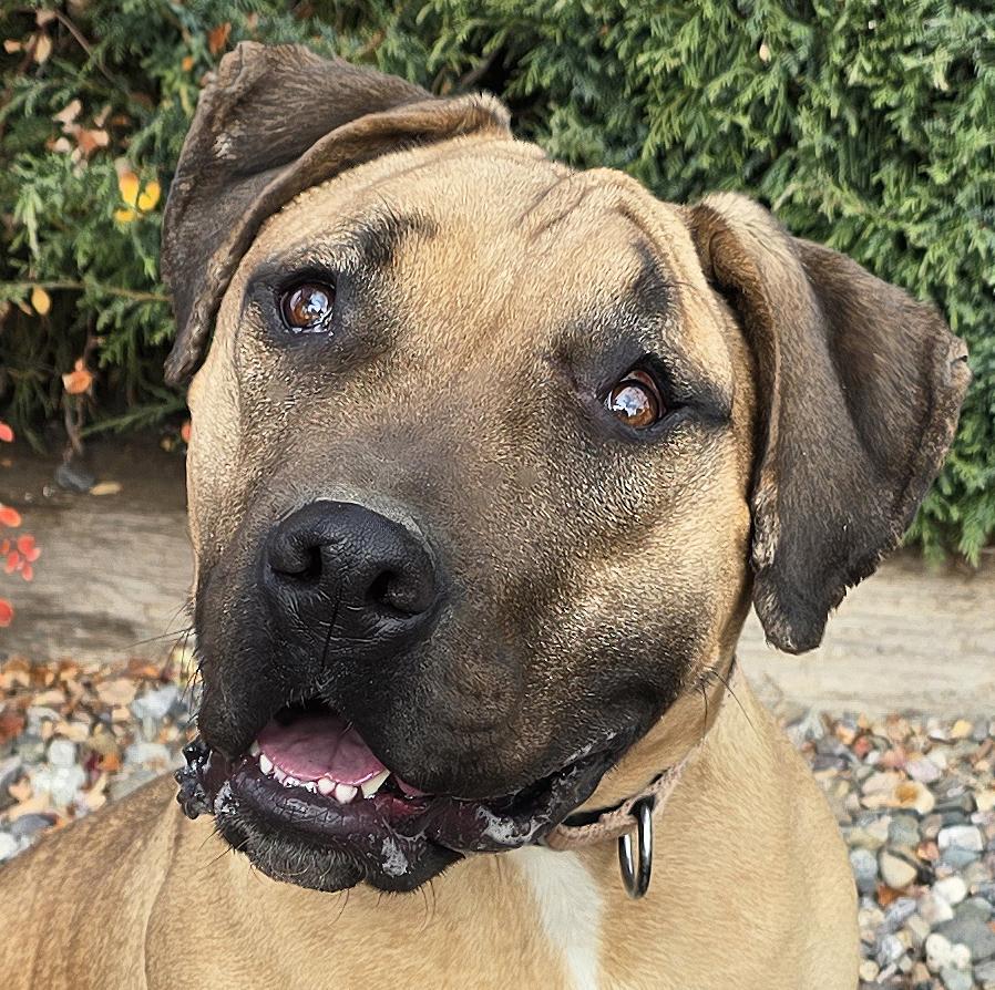 Remarkable Mr Romano ~