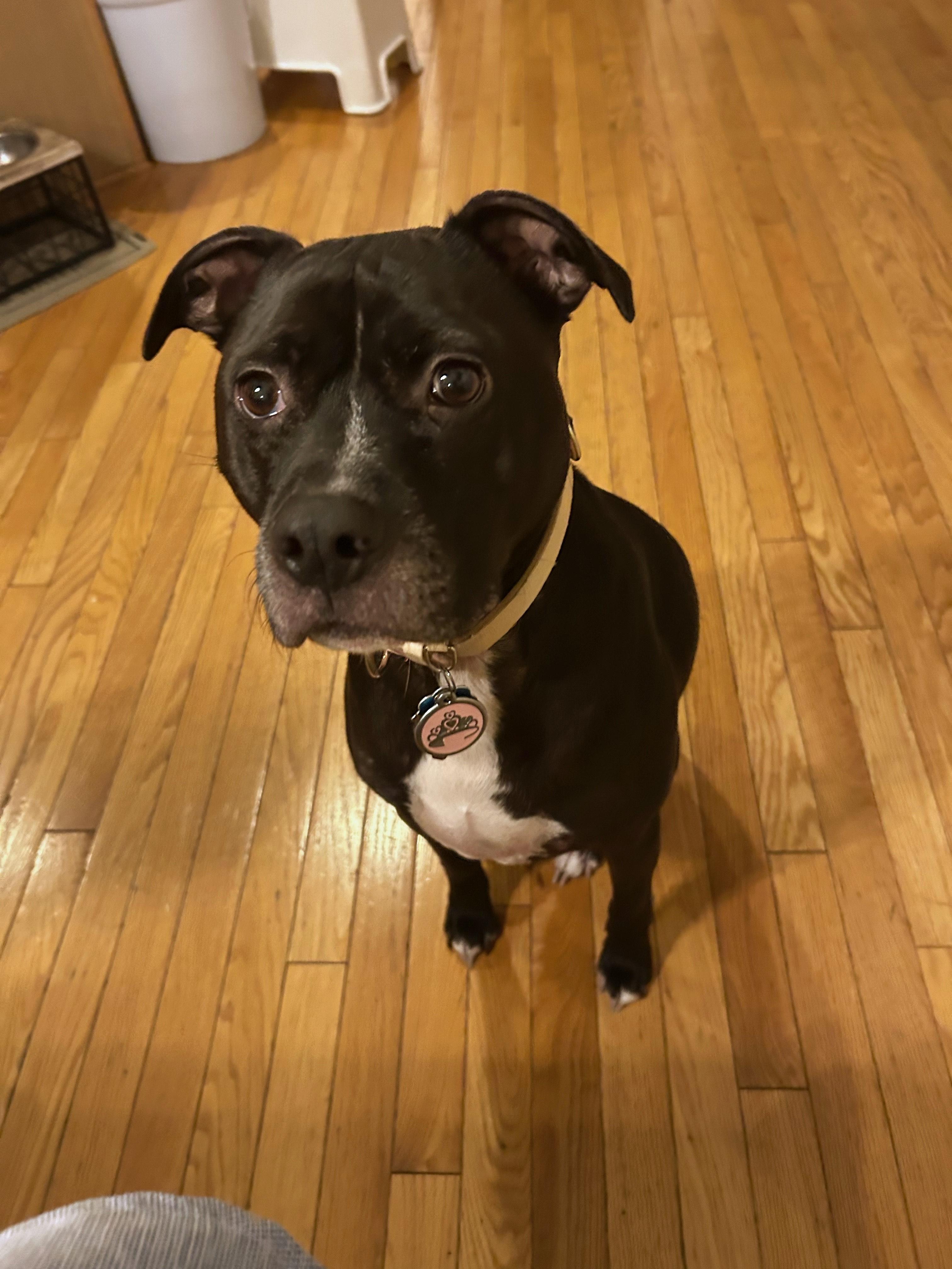 Zahara -- Courtesy Post