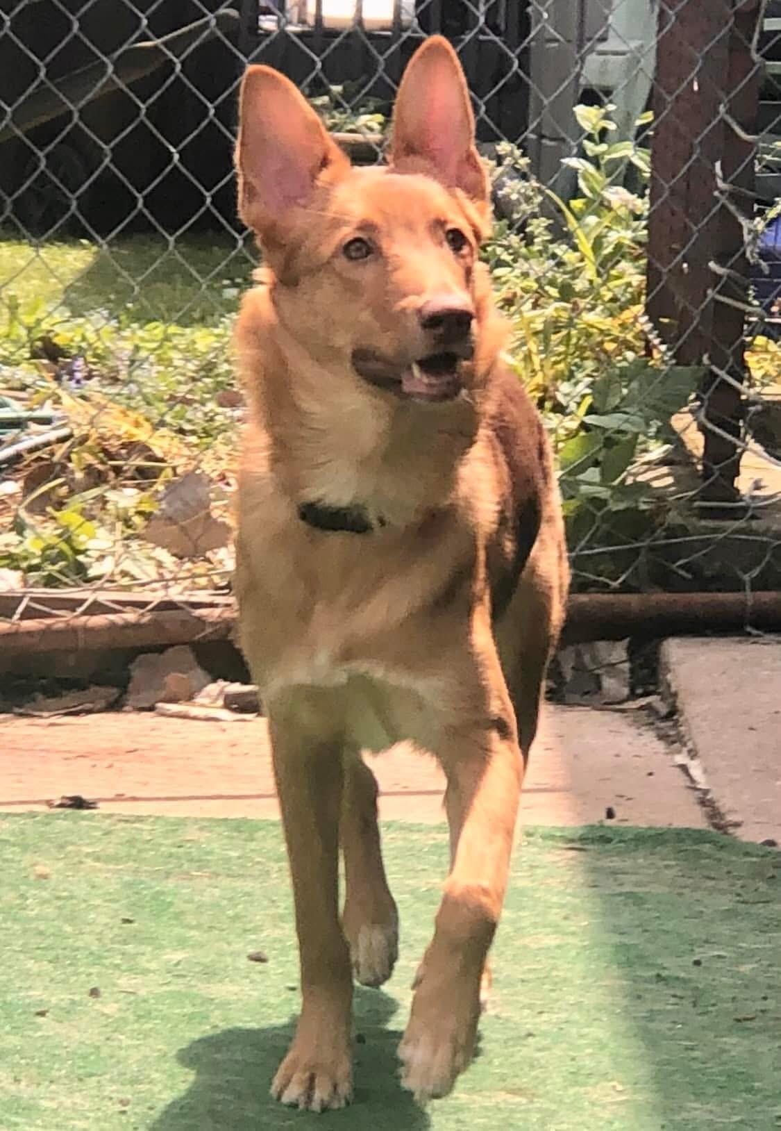 Marley