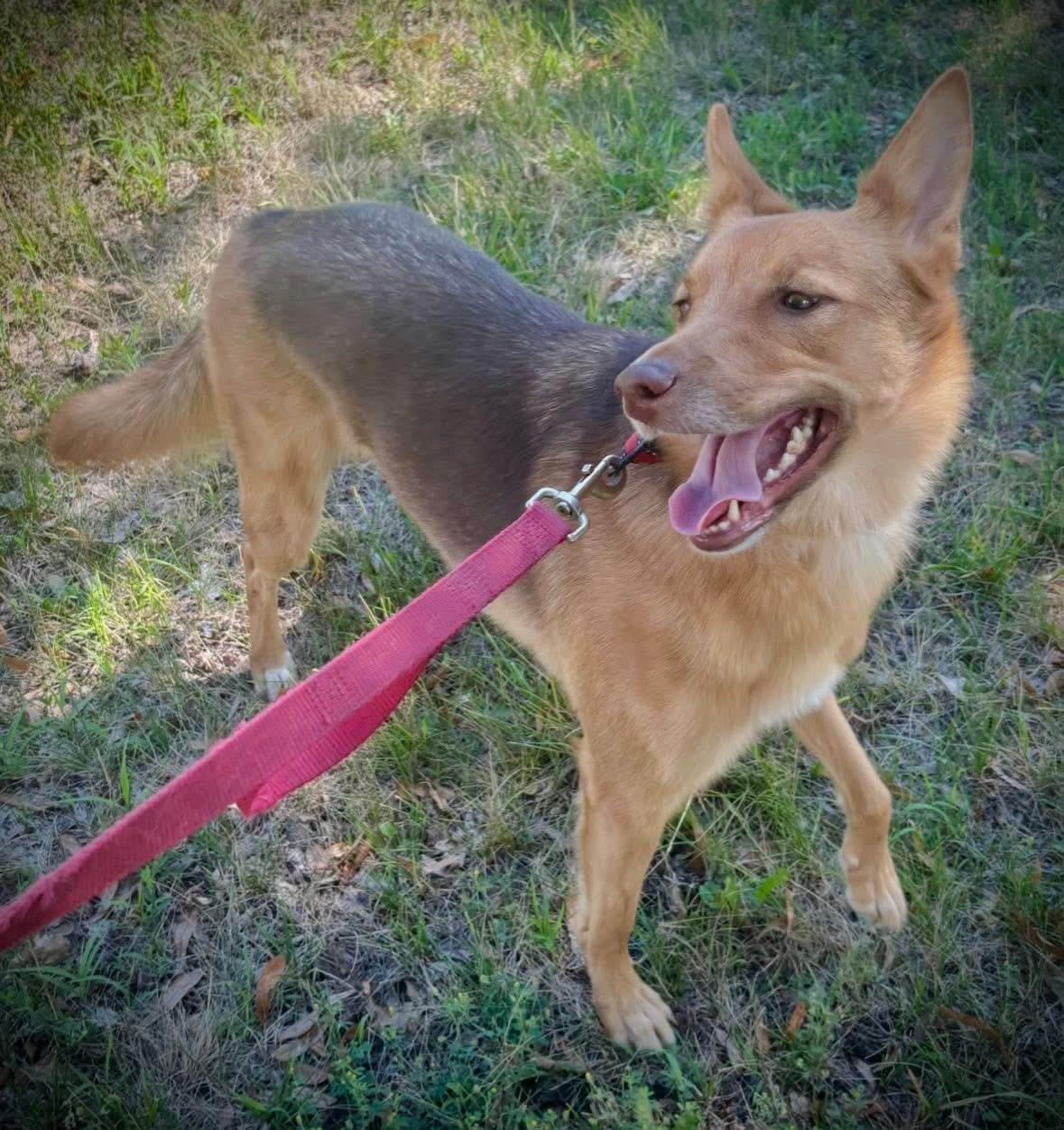 Marley