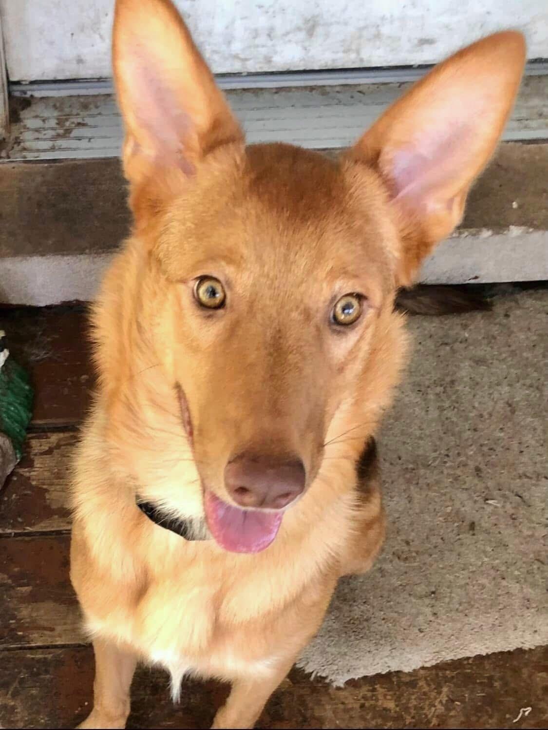 Marley