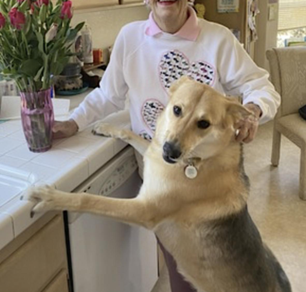 Angel — thumbnail 4