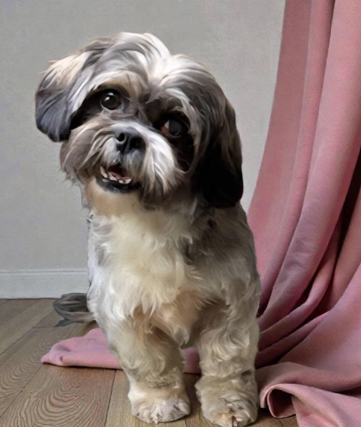 Princeton thumbnail 4