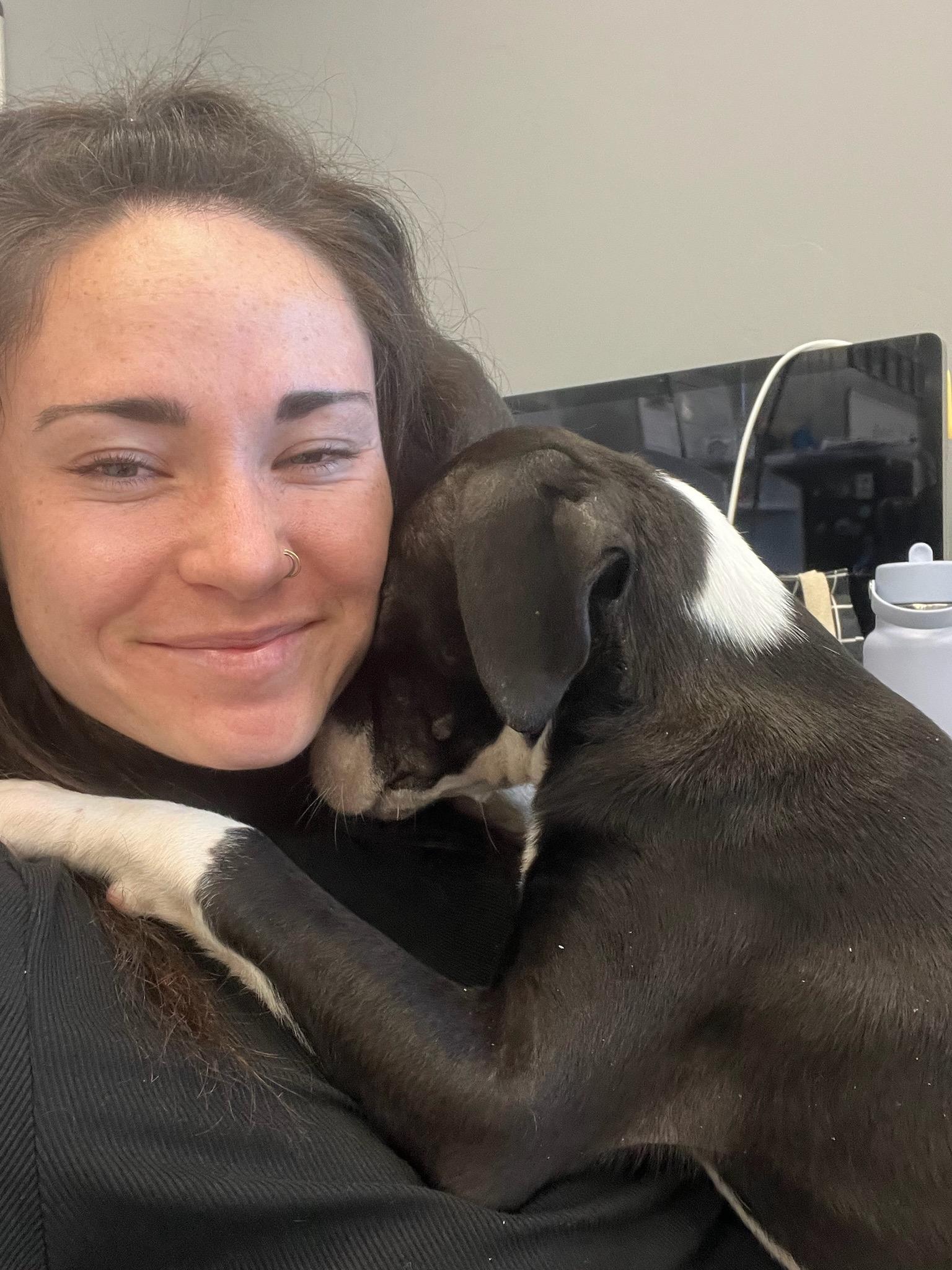 Enlarge Pebbles, a Adopted mixed breed in Durango, CO image 4/6