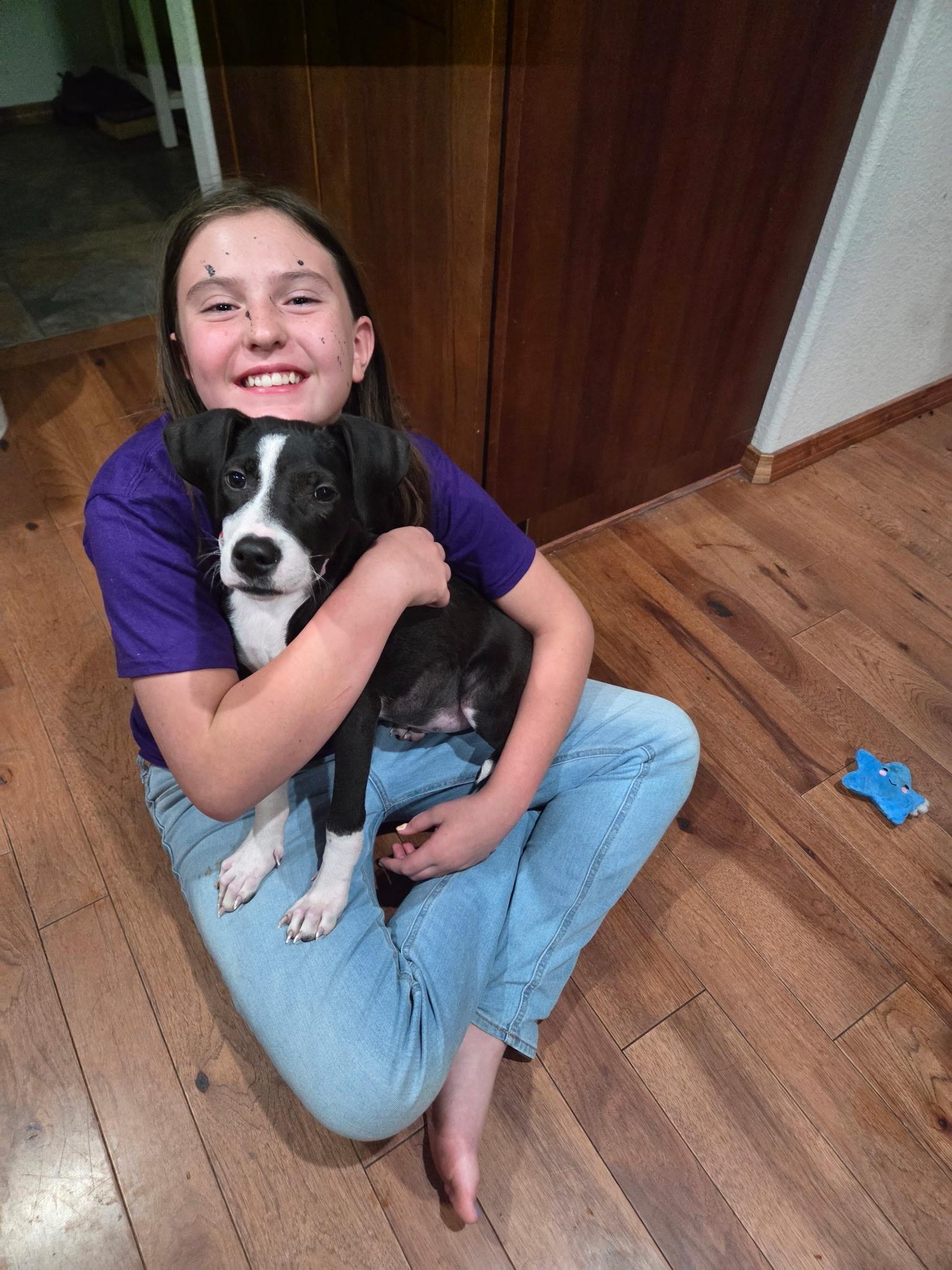 Pebbles, Adopted, Young Female Mixed Breed.