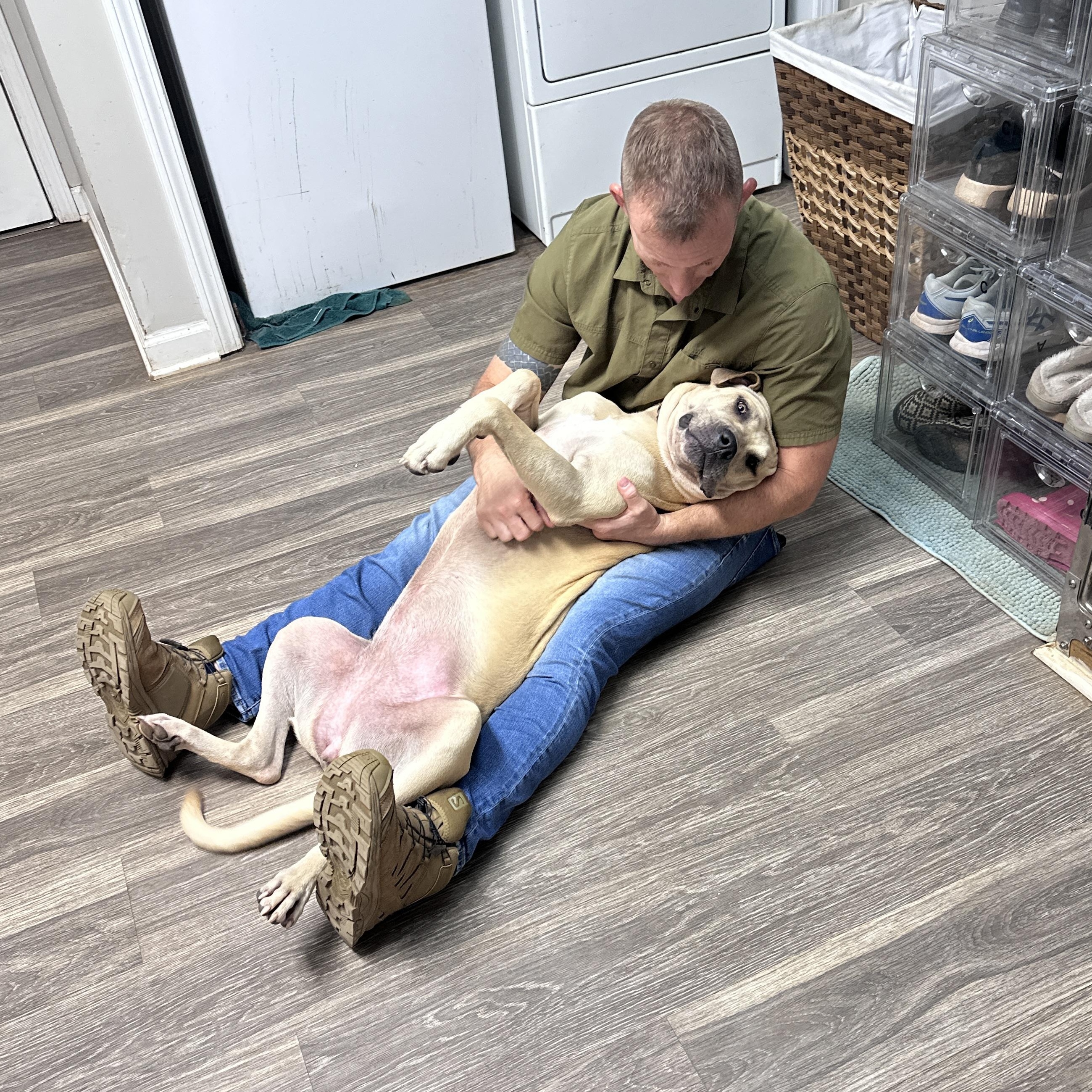 Enlarge Monik, an adoption pending mixed breed in Marietta, GA image 4/6