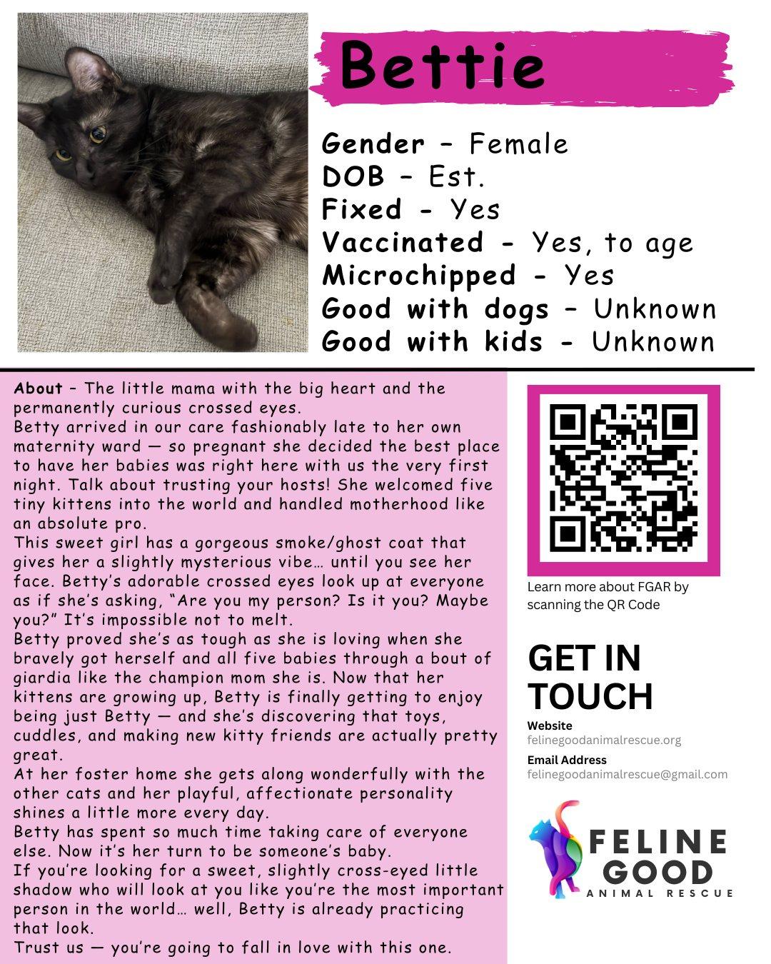 Enlarge Bettie, a ADOPTABLE Domestic Short Hair in Eugene, OR image 1/5