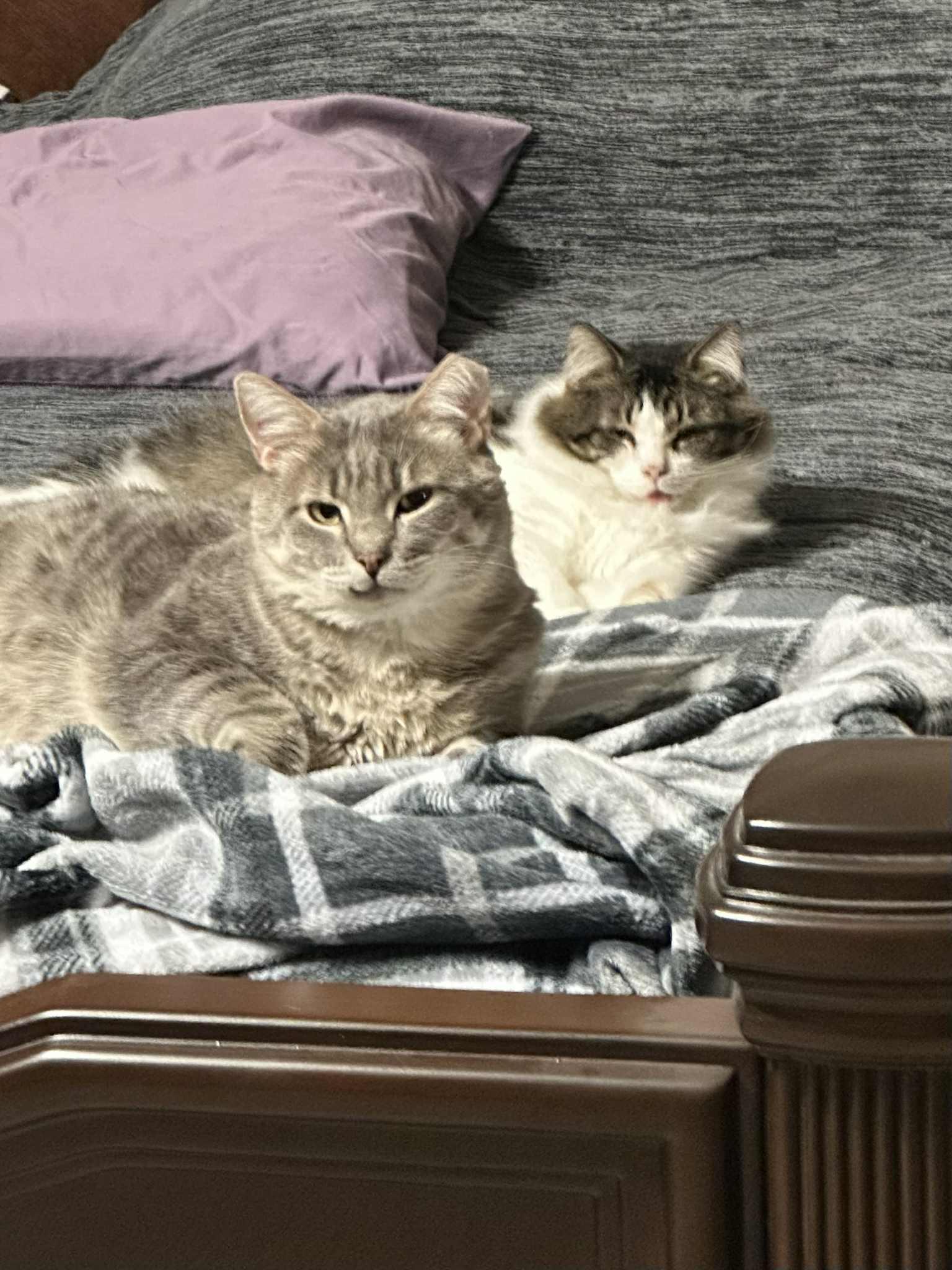 Charlie & Beauty