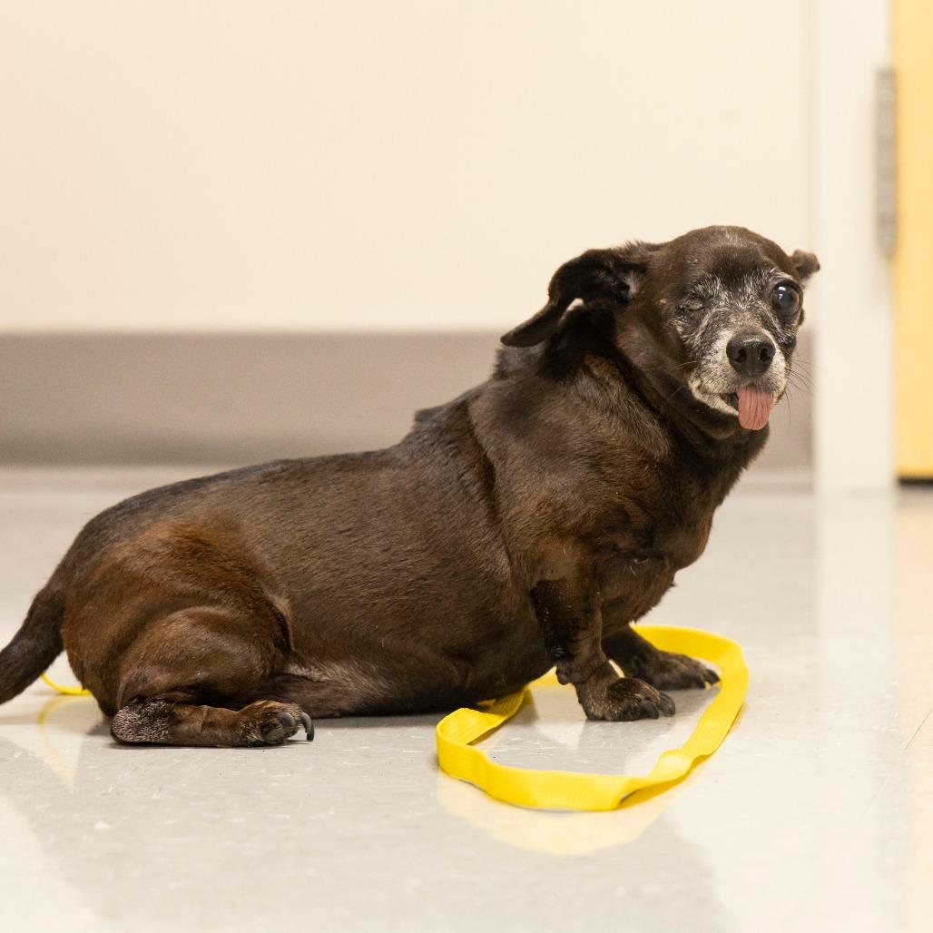 Chloe — thumbnail 2