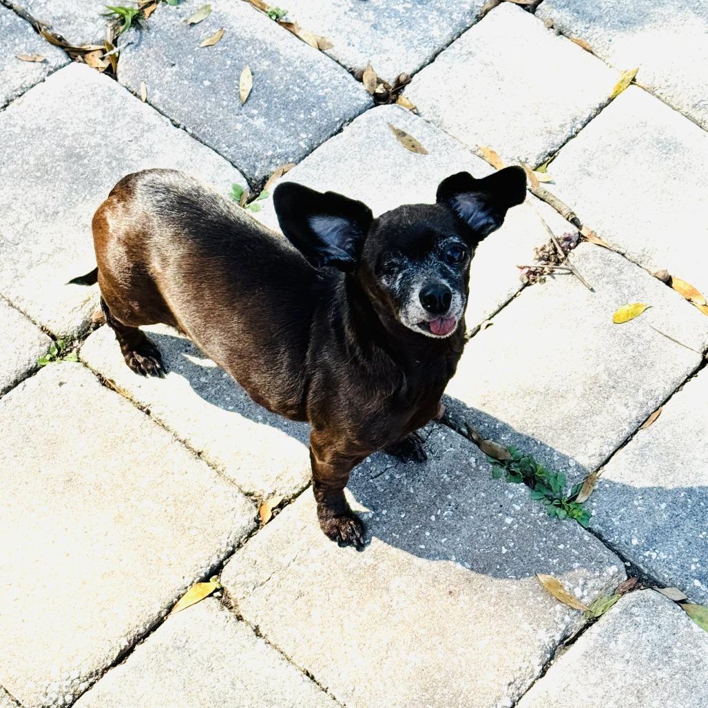 Chloe — thumbnail 3