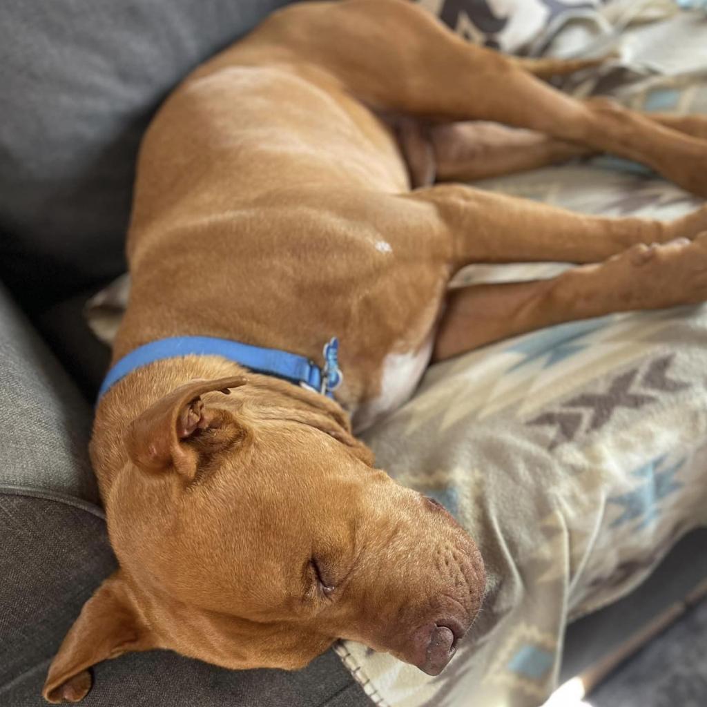 Neon — thumbnail 2