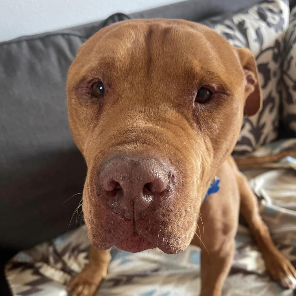 Neon — thumbnail 4