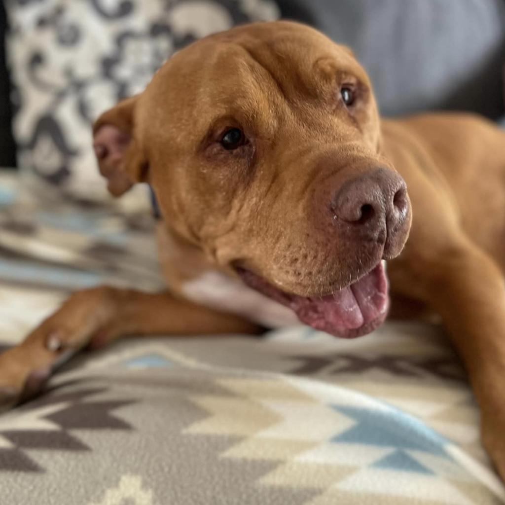 Neon — thumbnail 5