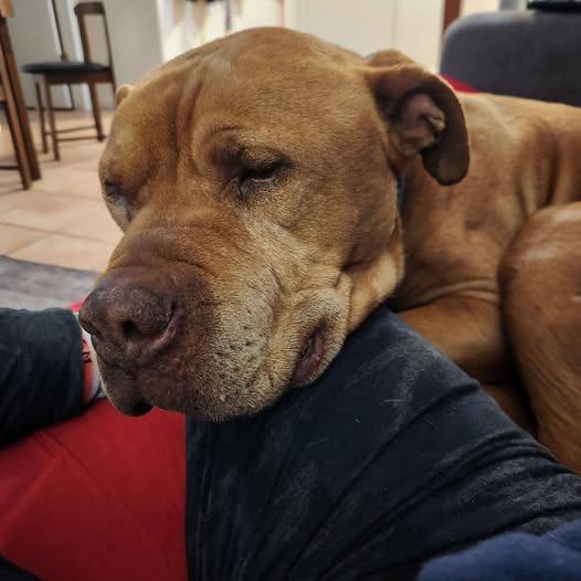 Neon — thumbnail 6