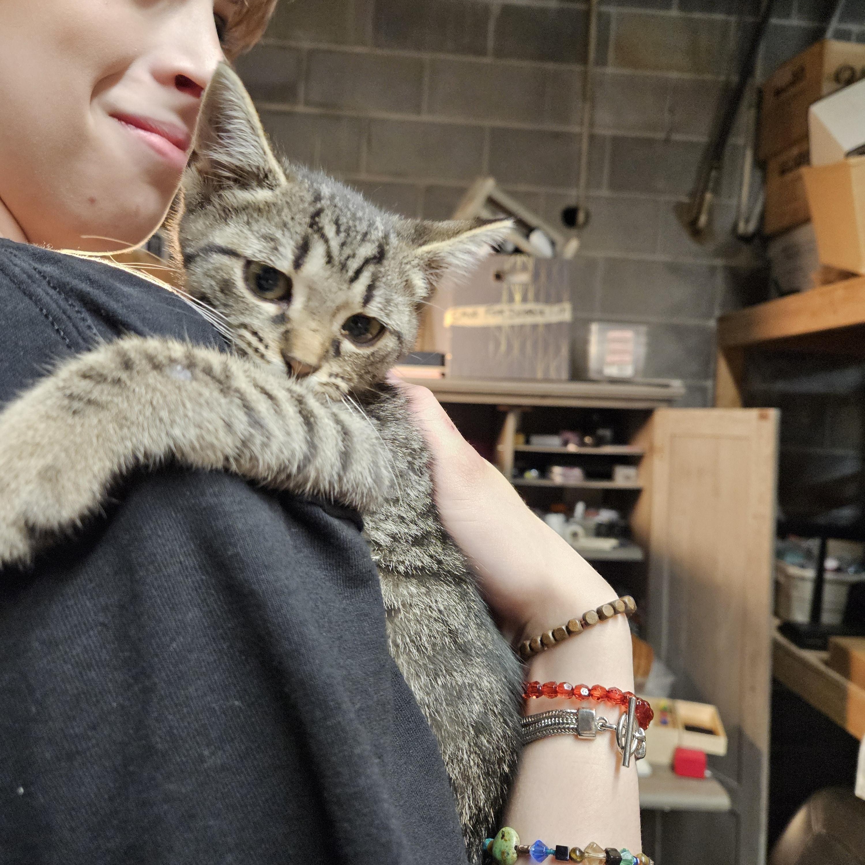 Oliver photo 3