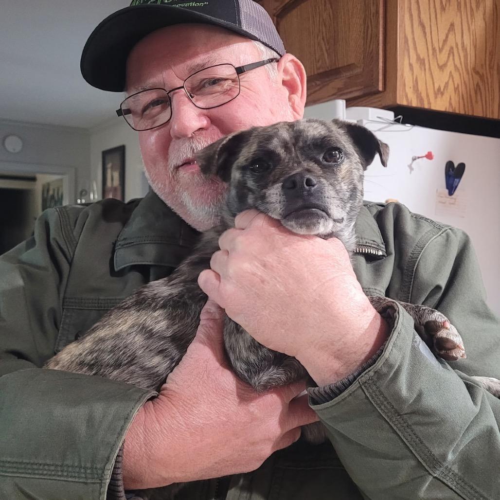 Enlarge Quinn, a Adoptable mixed breed in Pinson, TN image 3/3