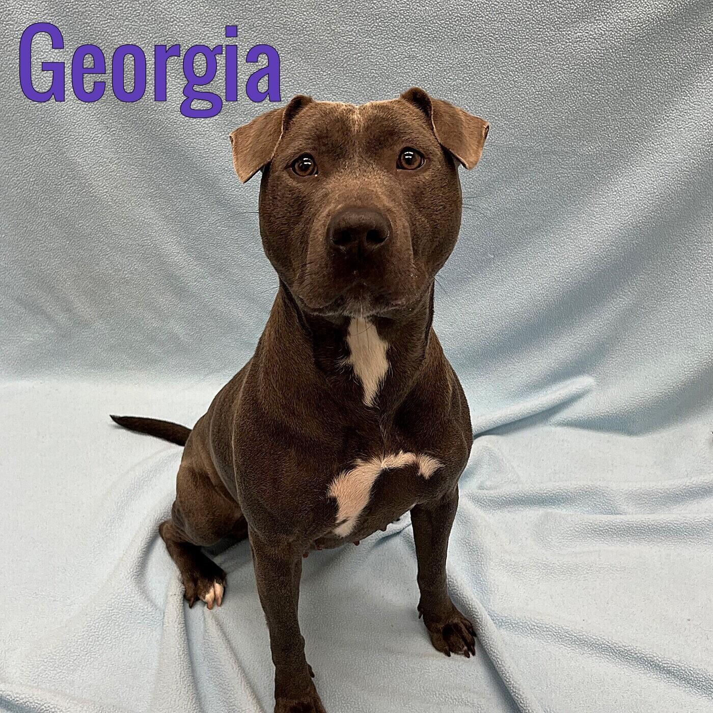 Georgia