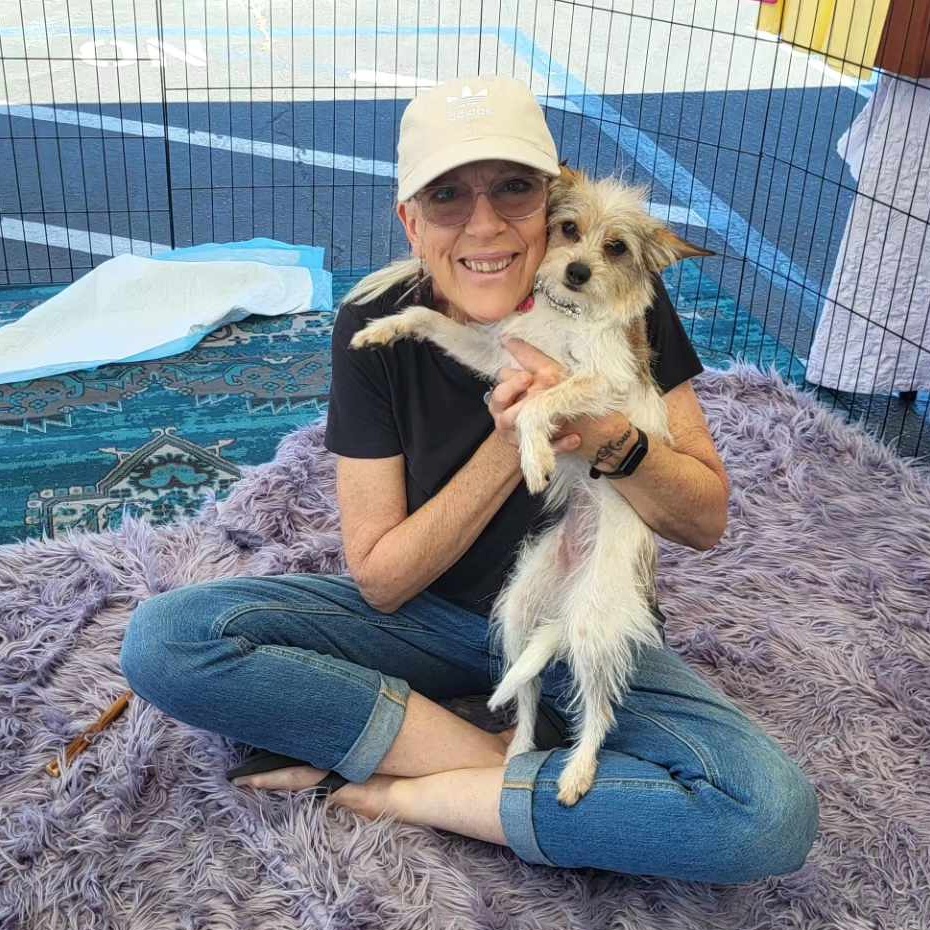 Enlarge DAISY MAE CORONA, a Adopted mixed breed in Cathedral City, CA image 2/5