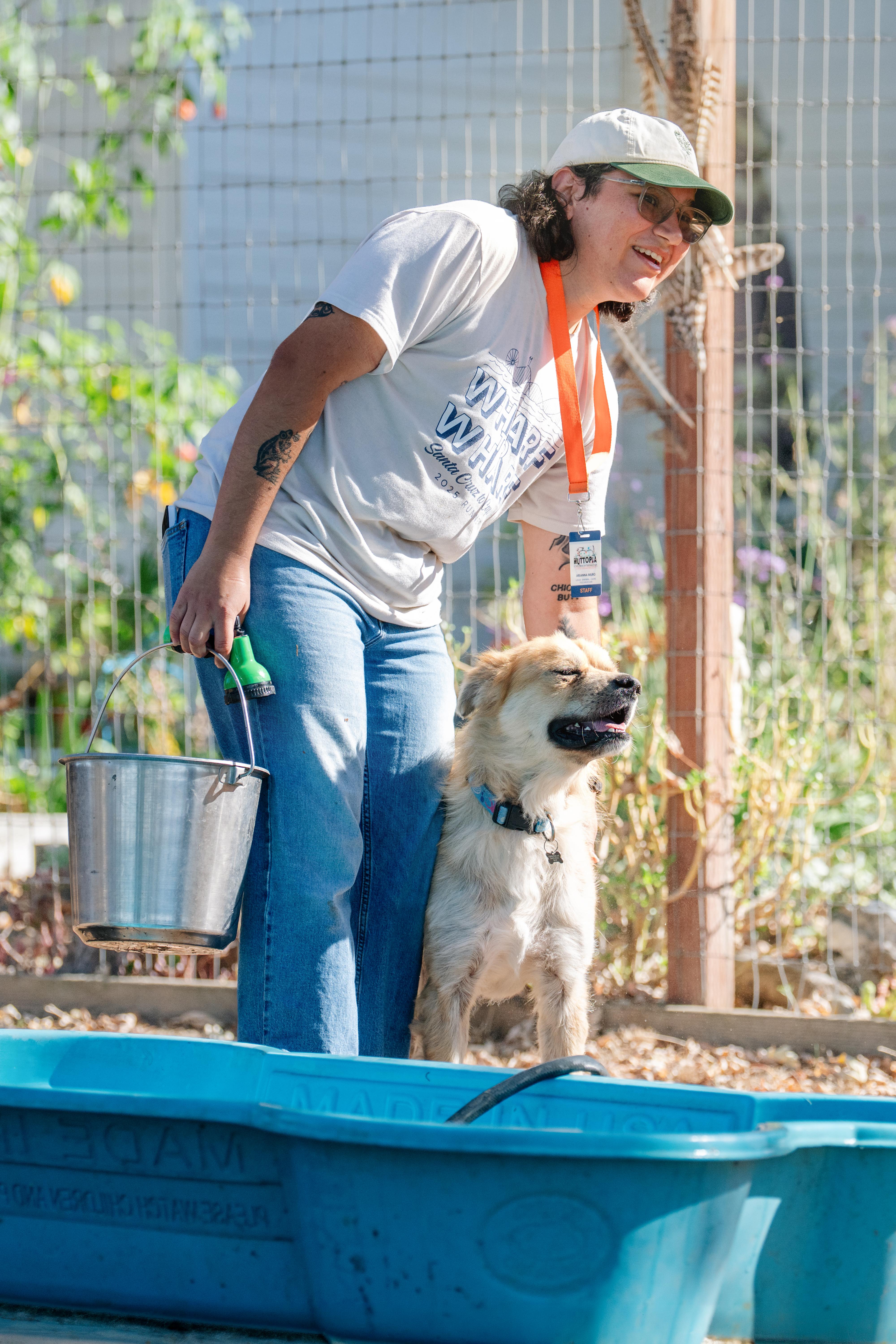 Enlarge DJ, a Adoptable mixed breed in Santa Rosa, CA image 6/6