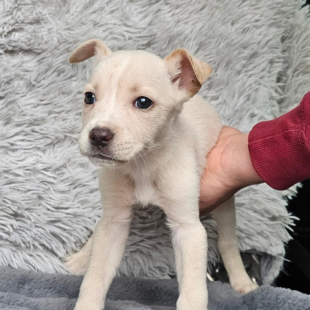 Jules — thumbnail 4