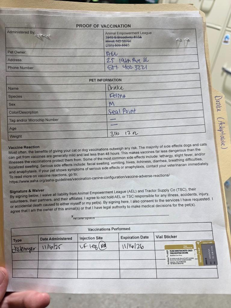 Drake, a Adoptable mixed breed in Minot, ND image 3/6