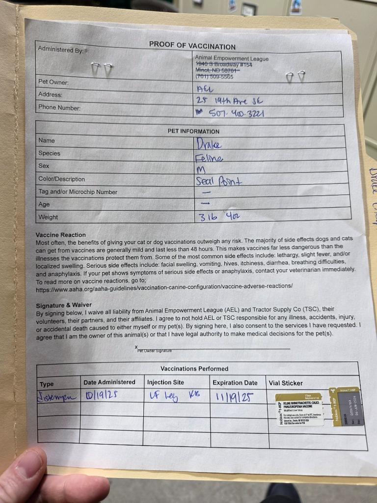 Drake, a Adoptable mixed breed in Minot, ND image 4/6