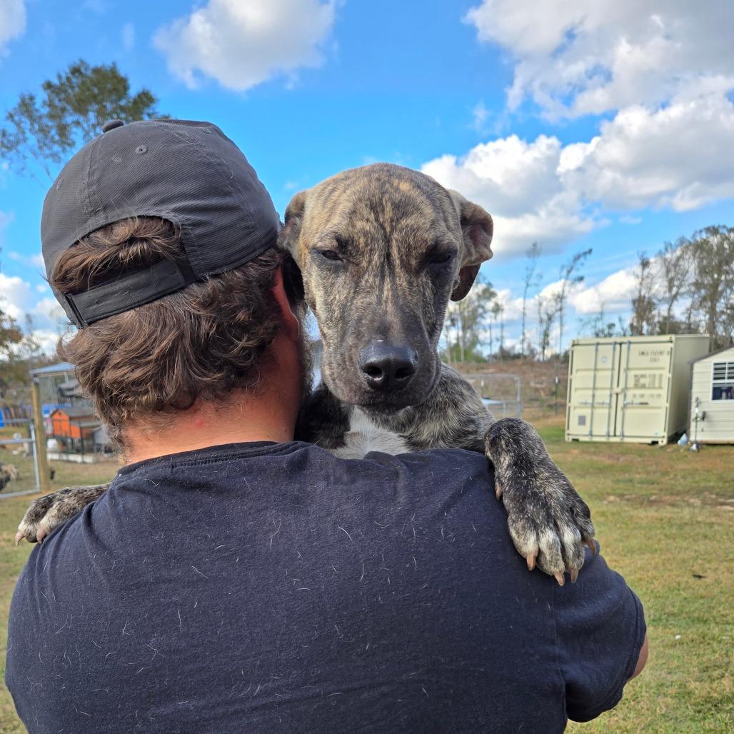 Reigna — thumbnail 4