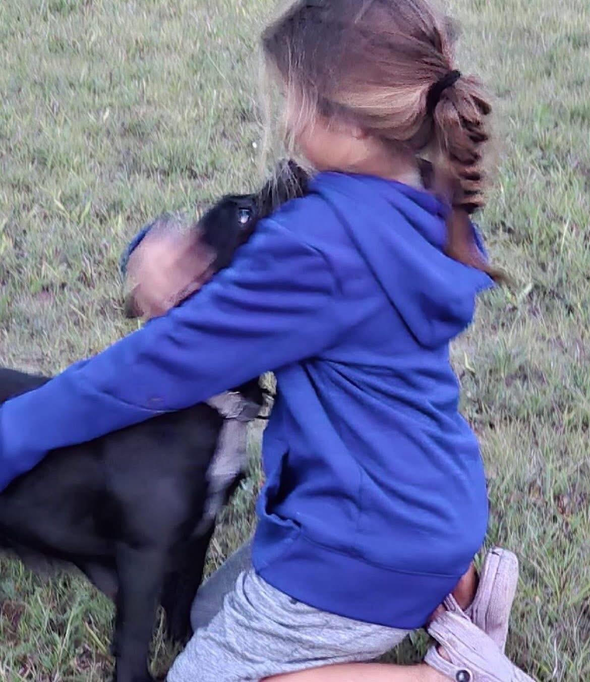 Enlarge Beauty, an adoptable mixed breed in Akron, NY image 2/5